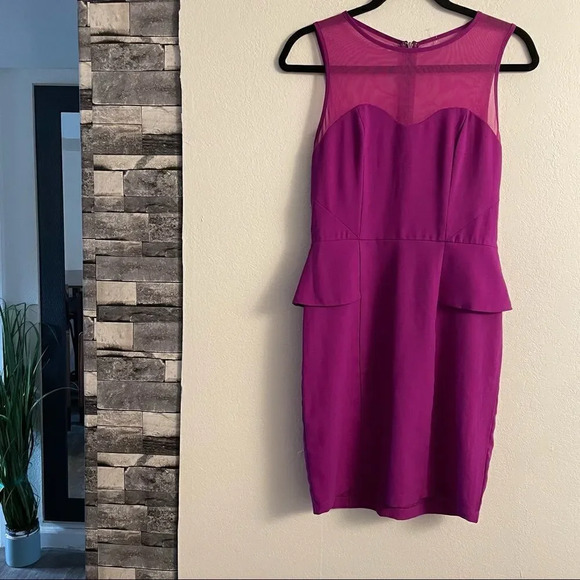 Greylin Melina Peplum Dress in Orchid - Picture 7 of 15